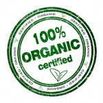 Holistic SEO Services